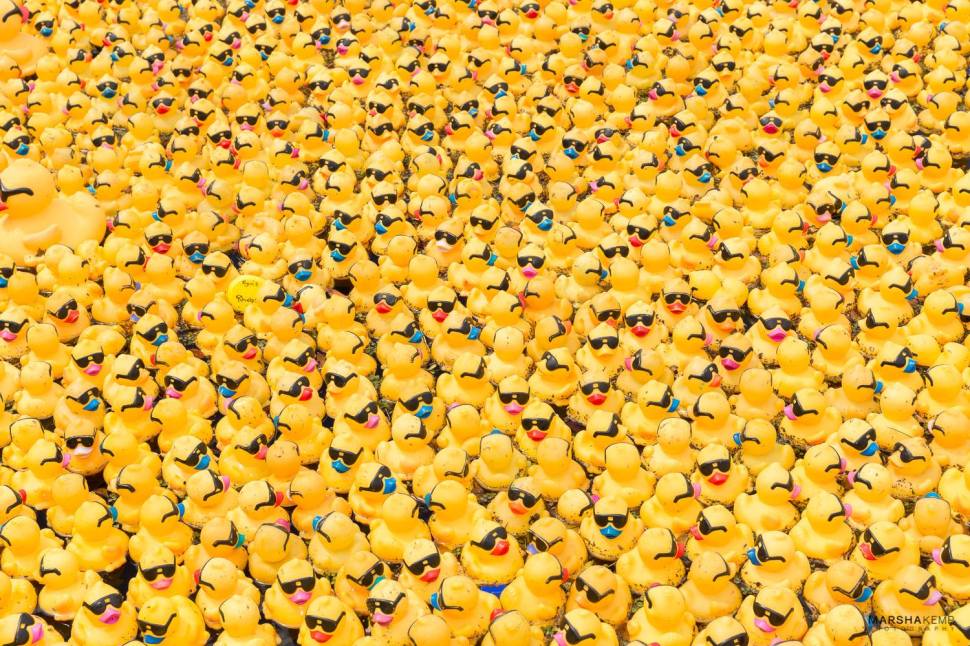 20863348_1566819933341500_9213849012356257082_o